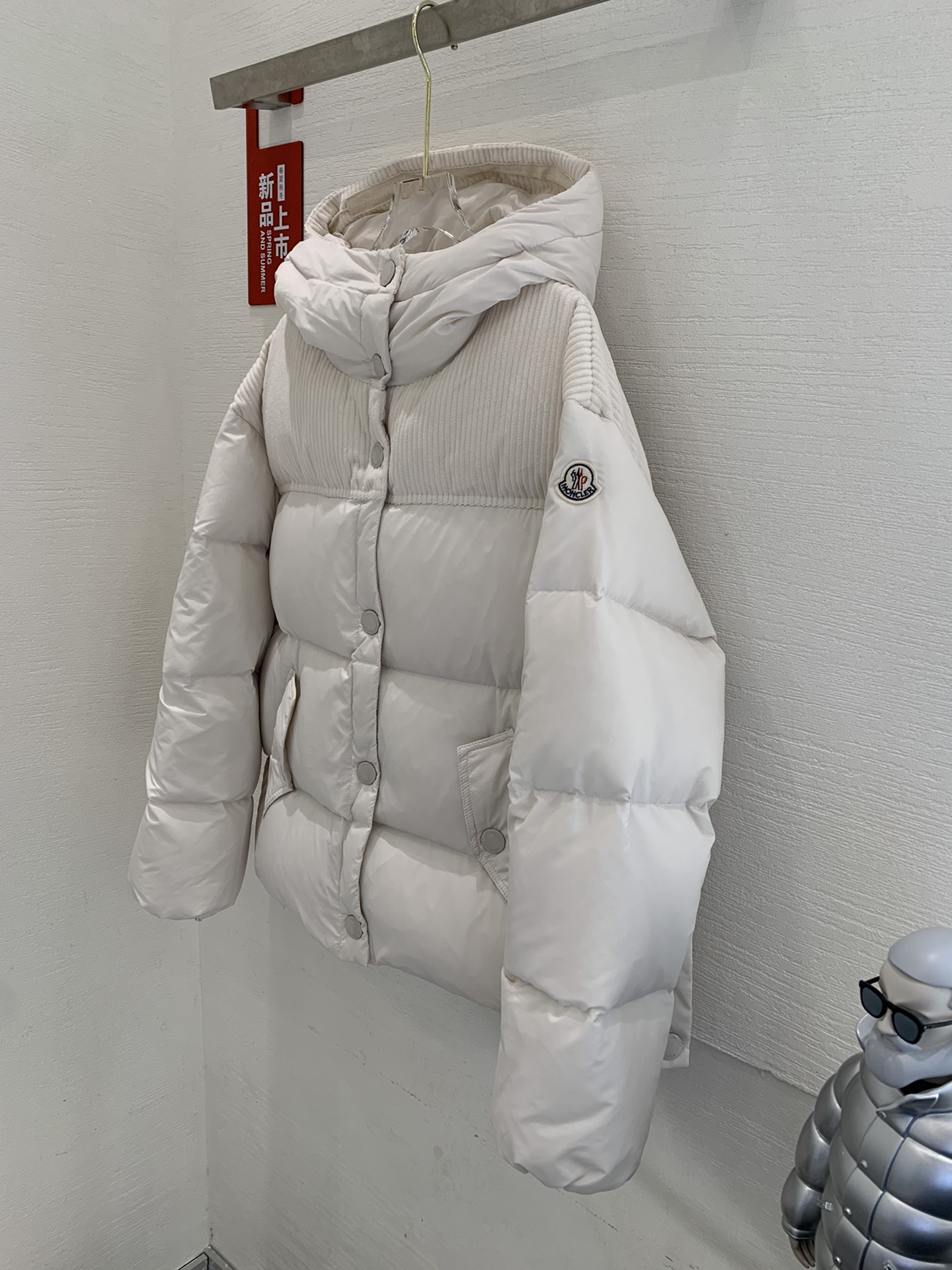 Moncler Down Jackets